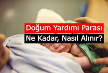 E Devlet Dogum Yardim Parasi