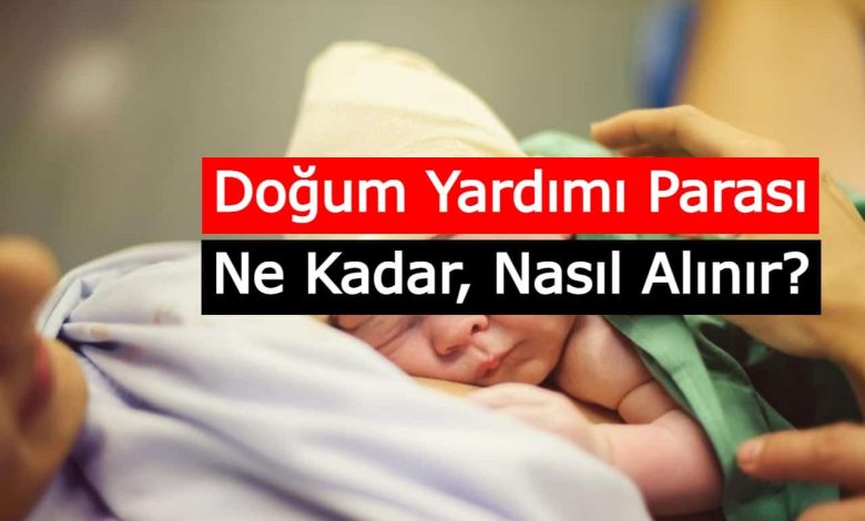 E Devlet Dogum Yardim Parasi