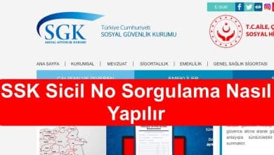 Emekli Sicil No Sorgulama
