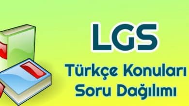 LGS Turkce Konulari