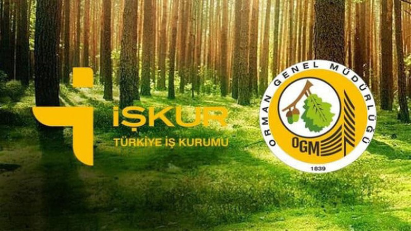 Orman-genel-mudurlugu-isci-alimi başvuru (2)