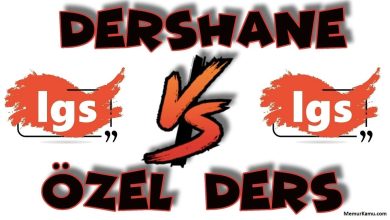 Özel Ders Mi Dershane Mi