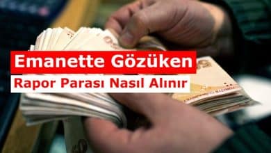Rapor Odemesi Emanete Alindi Ne Demek