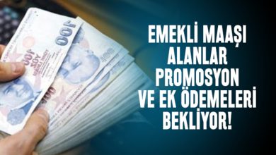 Yeni Emekli Olan Promosyon ve İkramiye Alabilir Mi?